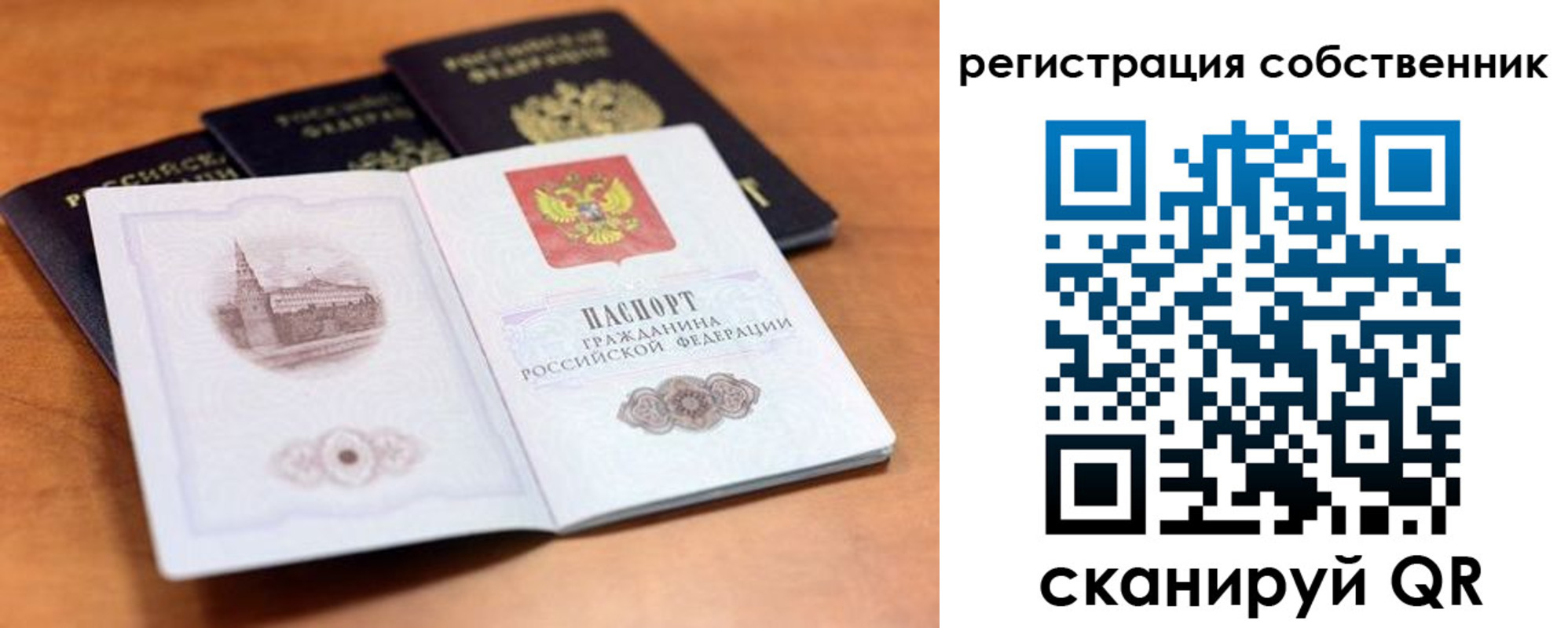 прописка поиск в Щиграх